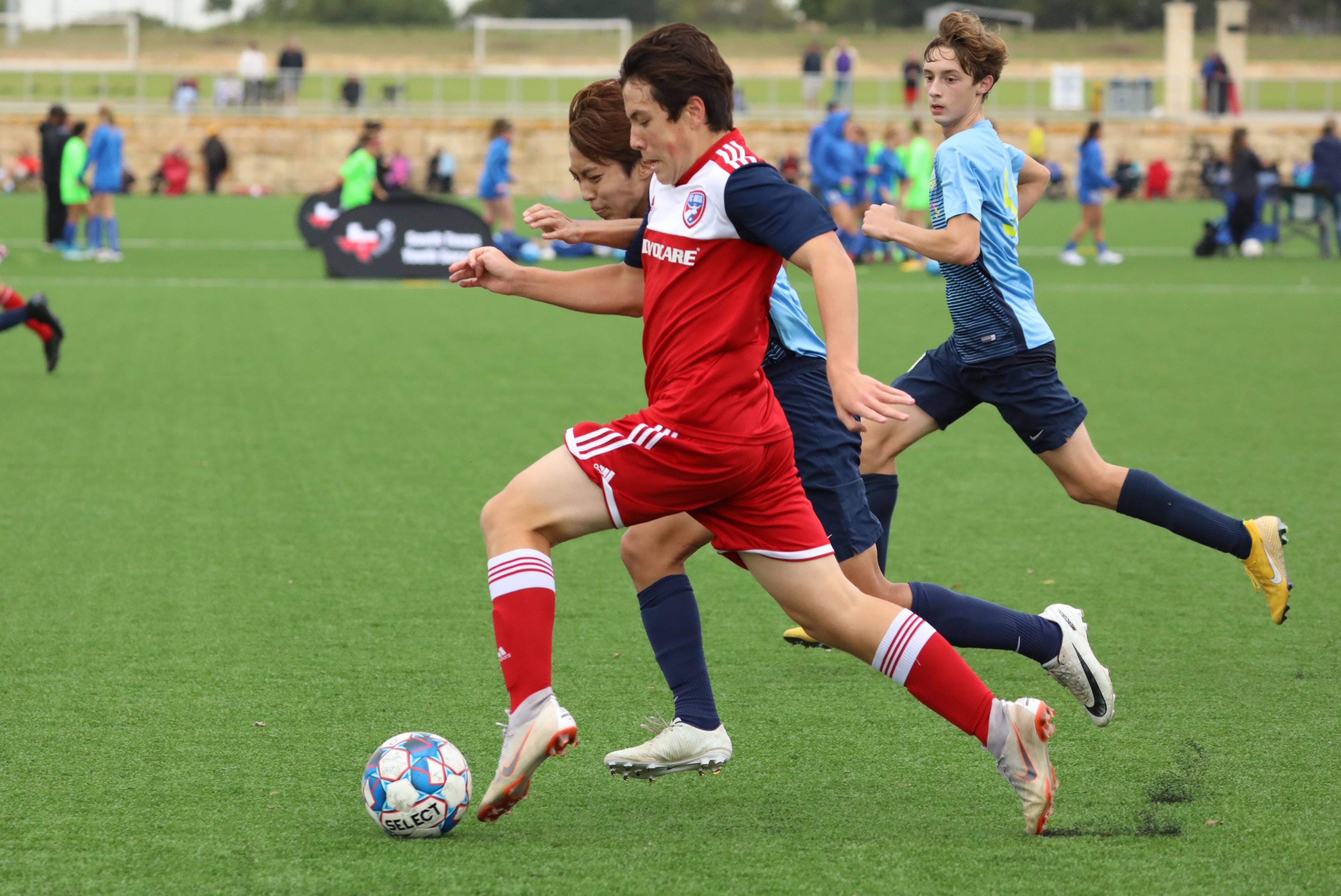 扎哈维重返 扎哈维重返