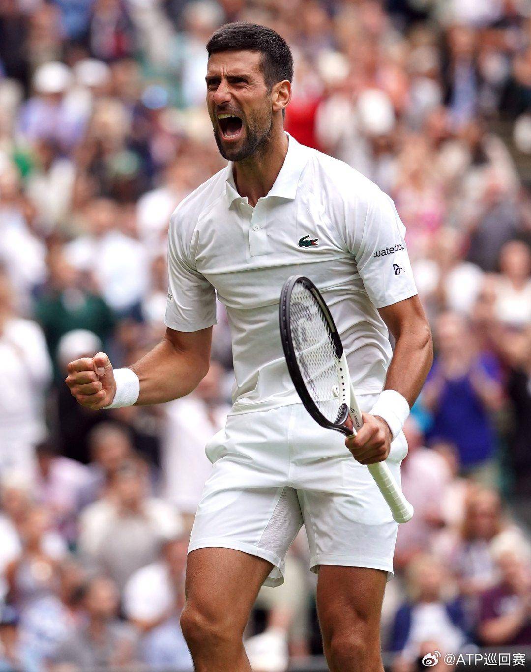 非常稳固 非常稳固